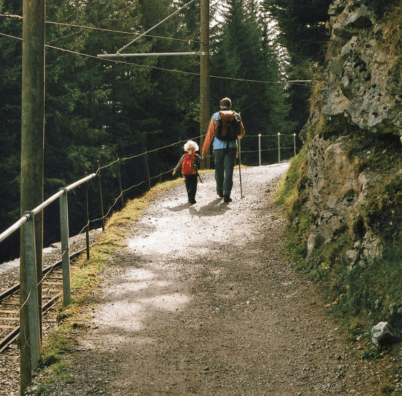 The path to Morren  Photo  Pete Grafton