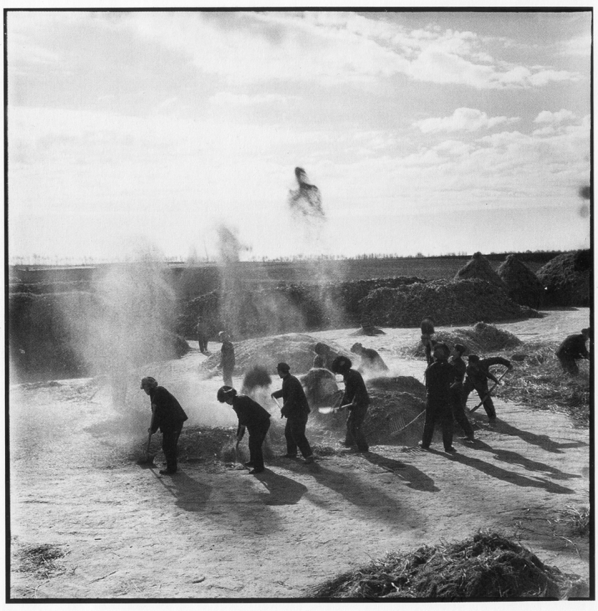 mao, re educationPNG