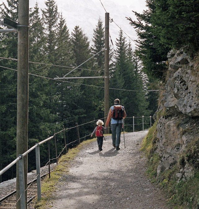 Above Lauterbrunnen SF PNG