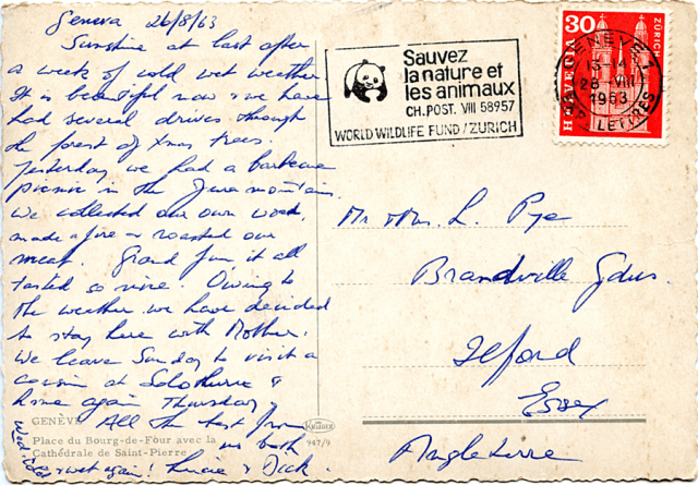 Pye Geneva back SF PNG