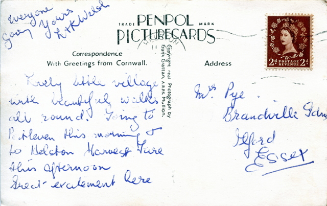 Pye Gweek back SF PNG